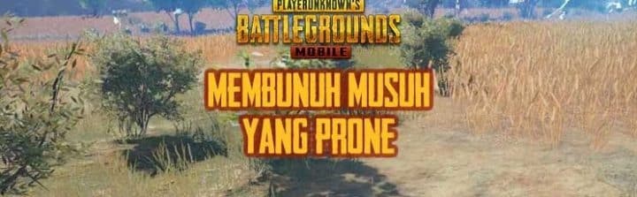 Pubg Mobile