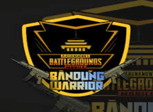 Pubgm Bandung Warriors