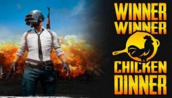 5 Best Tips for Getting a Chicken Dinner? Easy!
