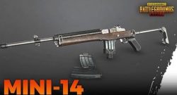 Wow! Effektive Mini-14-Waffe für den Fernkampf!