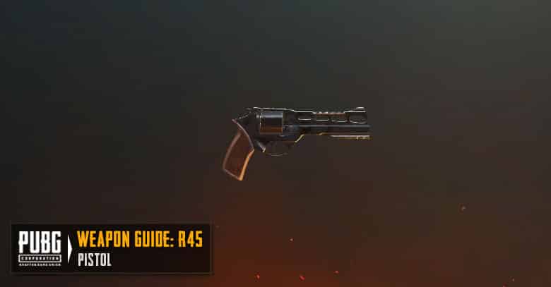 R45 Pistol