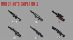 5 Best DMR Weapons in PUBG Mobile 2021, You Must Try These!