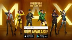 These are the Best Free Fire MAX Characters for Amateur Players