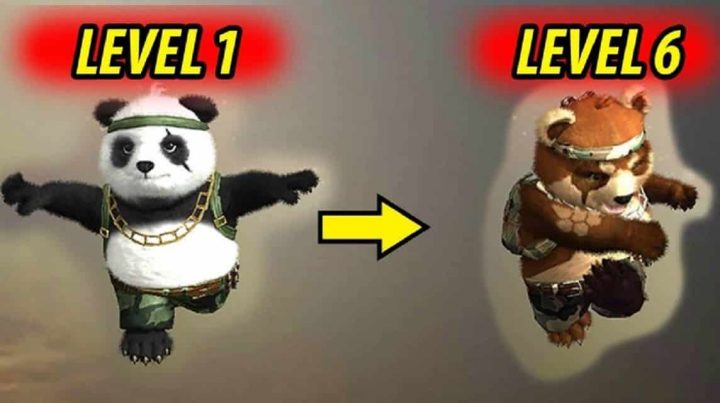 Overview Detektif Panda FF Dan Cara Mendapatkannya Secara Gratis!