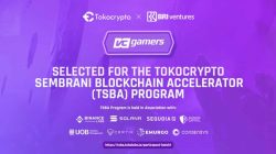 耶！ VCGamers 入选第一批 Tokocrypto Sembrani 区块链加速器 (TSBA)
