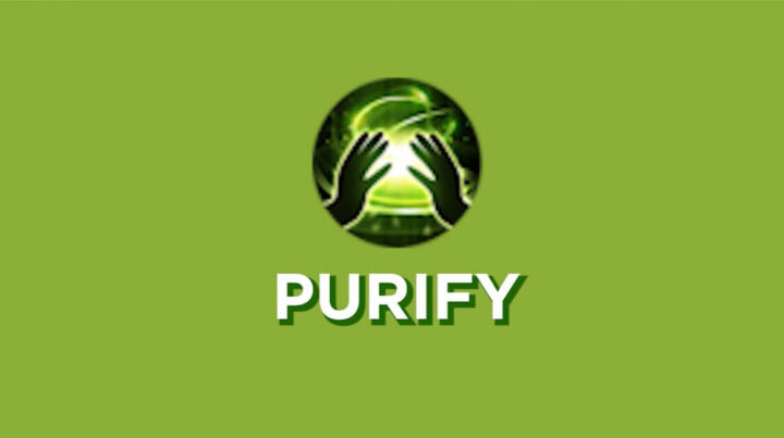 Everything You Need to Know About Purify ML