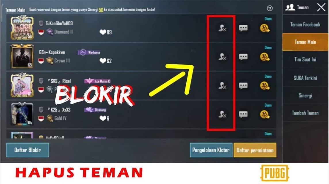 Menghapus Teman di PUBG