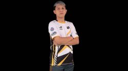 Profile of Pro Player Mobile Legends RRQ Xin 