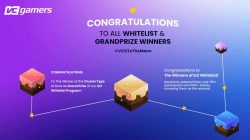 Happy! This is the list of winners of the RansVerse ILO Whitelist Event