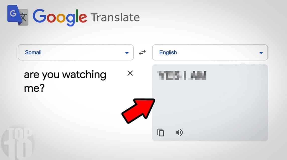  Google Translate