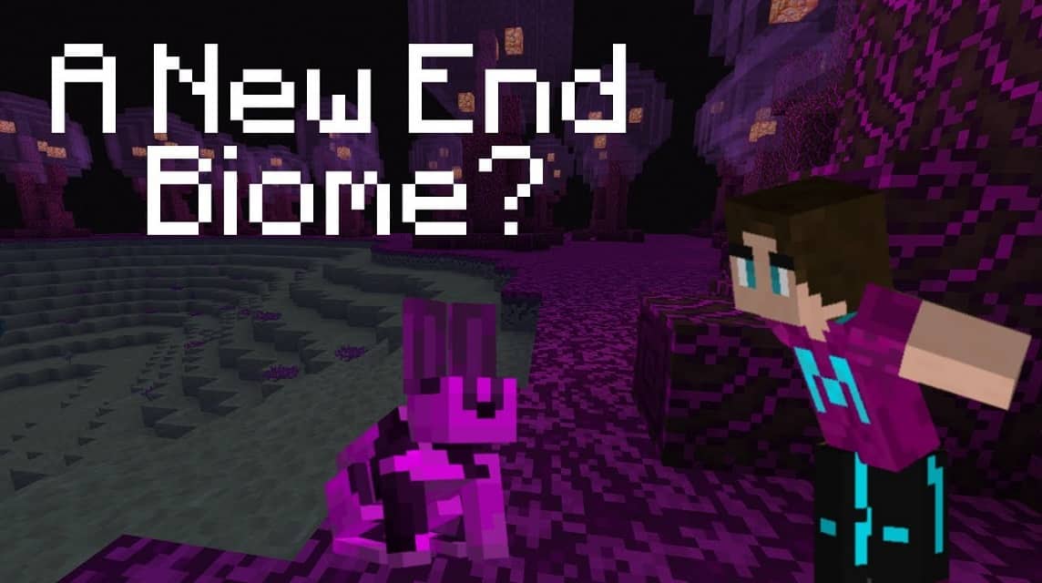 The End Update for Minecraft 1.20.1