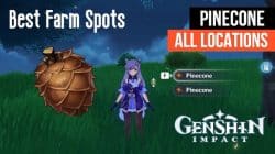 The Best Locations To Find Pinecones Genshin Impact