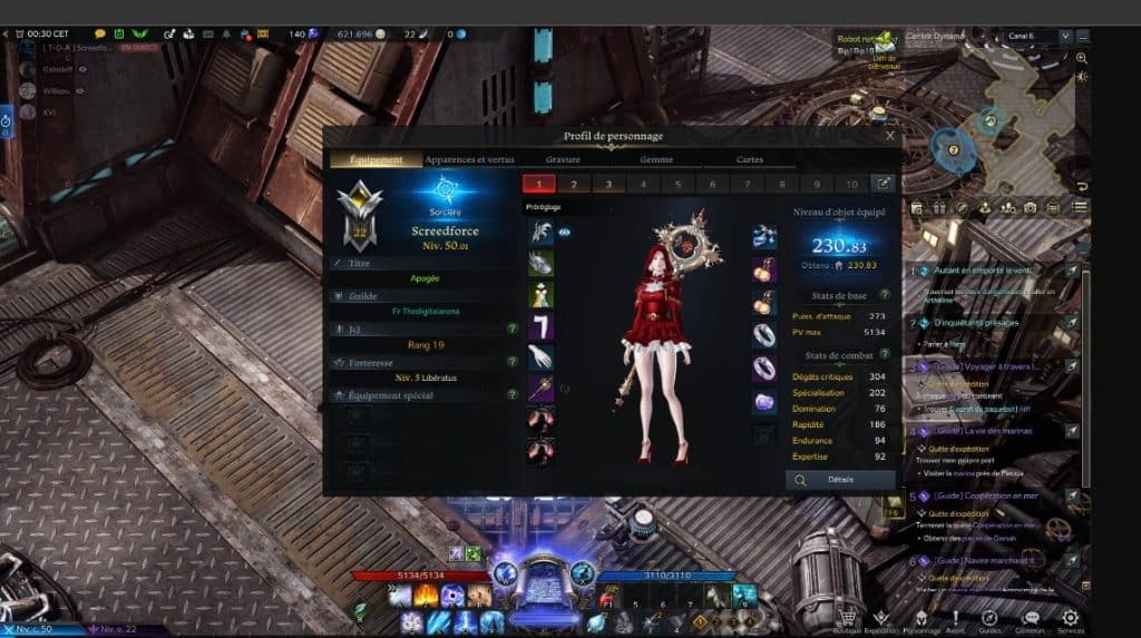 Igniter Sorceress Lost Ark Build for Raid!
