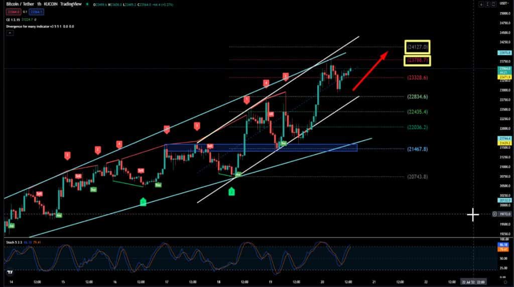 Cara Membaca Grafik Crypto Paling Mudah