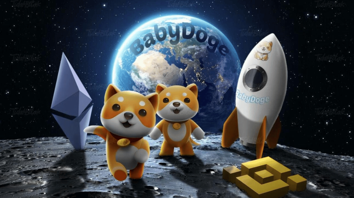 What Is Baby Doge Micin Coin