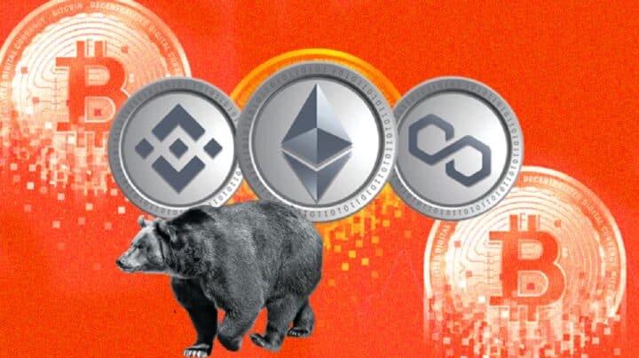 Lakukan Hal Ini Saat Terjadi Bearish Crypto