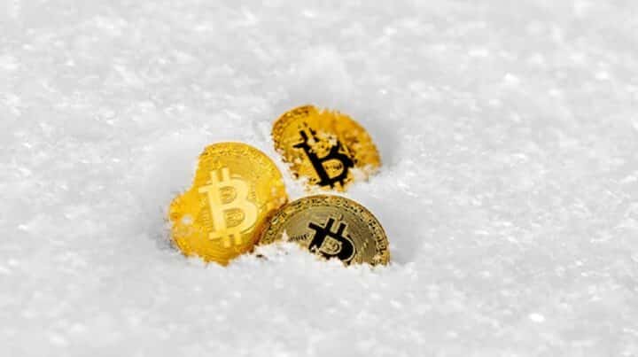 How to Survive When Crypto Winter Happens, Do This!