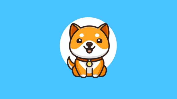 Project Baby Doge, Coin Meme yang Populer!