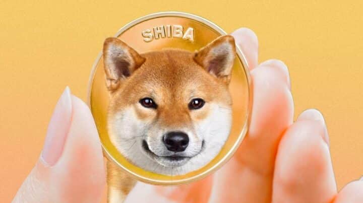 Perbandingan Antara Shiba Inu Vs Doge Coin