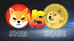 Vergleich zwischen Shiba Inu Vs Doge Coin