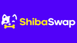 了解 Shibaswap 以及如何使用它