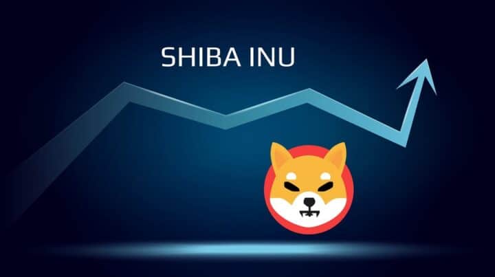 Shiba Inu의 화상 동작 설명