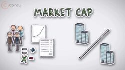 What is Crypto Market Cap? Here's the Explanation!