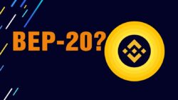 Definition of BEP20 and examples of tokens