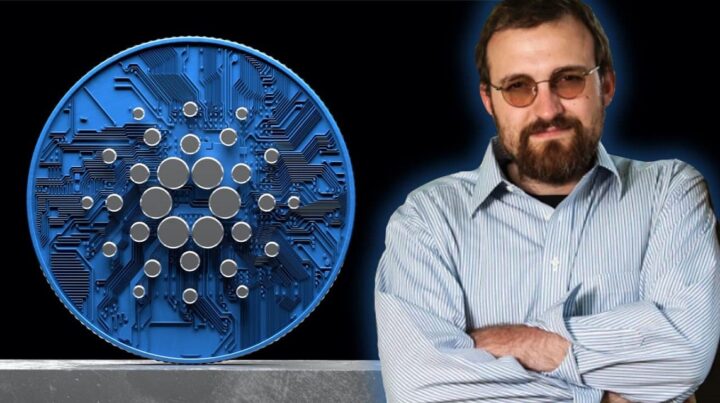 Lernen Sie die Cardano Hard Fork und ihre Vorteile kennen