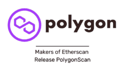 Polygonscan とその使用方法を理解する