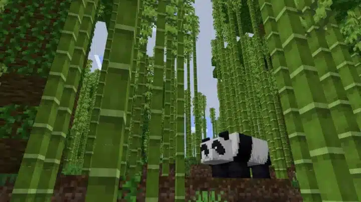 업데이트 1.20용 Minecraft의 Bamboo 기능