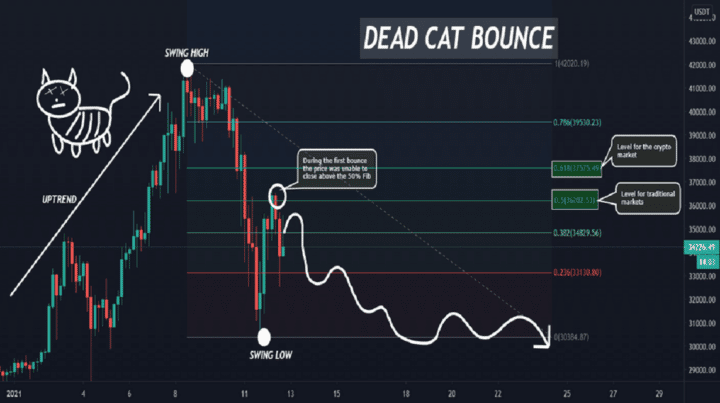 Definition of Dead Cat Bounce in the Crypto World