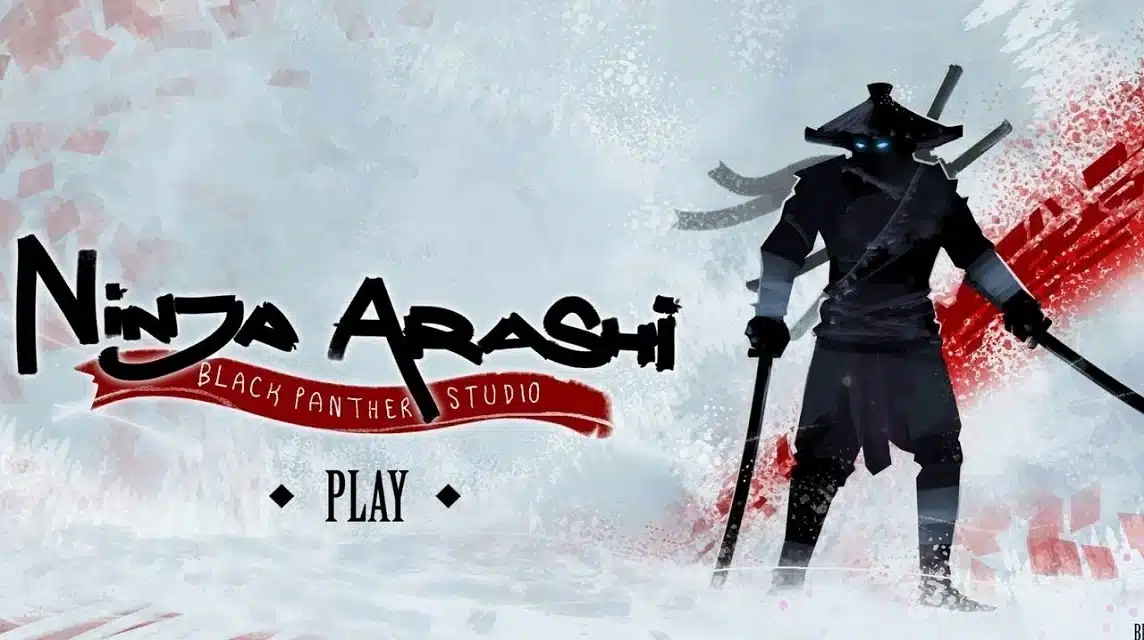 Ninja Arashi