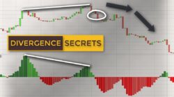 Bearish Divergence Is A Reversal, Here's The Explanation!