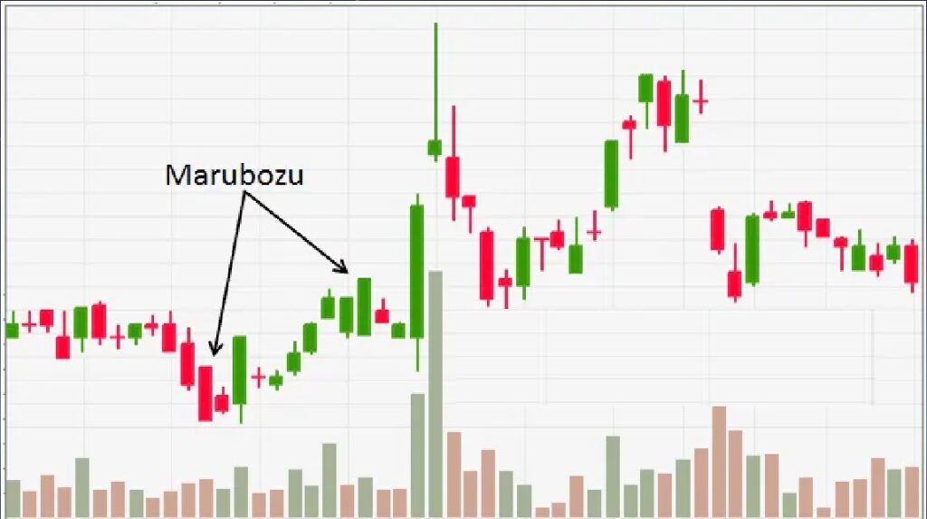 Marubozu Candle Definition, Functions, How to Use It!