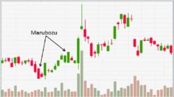 Marubozu Candle: Definisi, Fungsi, Cara Memanfaatkannya untuk Trading
