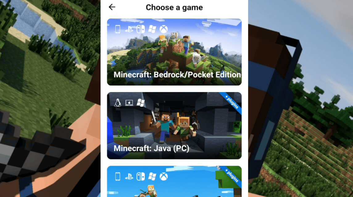 Pockethost Minecraft サーバー