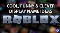 Die neueste Sammlung cooler Roblox-Namen, beeil dich!