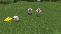 Erklärung und wie man Hühner in Minecraft züchtet, muss man sich merken!