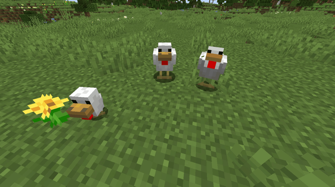Minecraft chicken