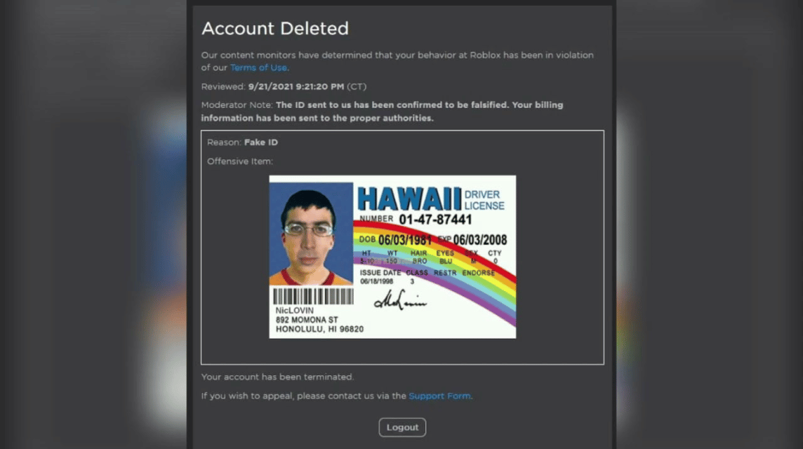 Fake ID Usage Example for Roblox