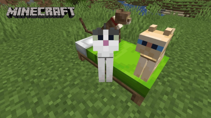  Erklärung und wie man eine Katze in Minecraft bekommt Bildidee 