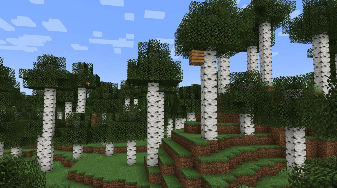 Pohon Birch Minecraft