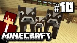 5 Interesting Facts About Minecraft Cows, Laying Eggs!