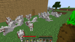 Tips about Wolves in Minecraft and How to Tame them
