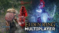 Wie man Elden Ring Multiplayer spielt, sehen Sie sich die Erklärung an!