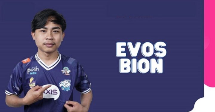 Biodata Lengkap Evos Bion, Sang Pro Player FF!