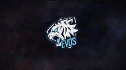 Evos Fams Profile, the Best Superfans that Evos Has!