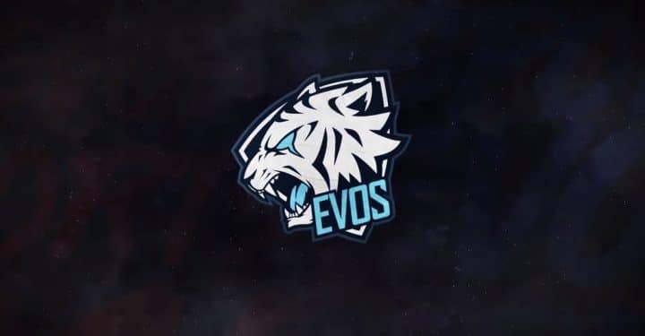 Evos Fams-Profil, die besten Superfans, die Evos hat!