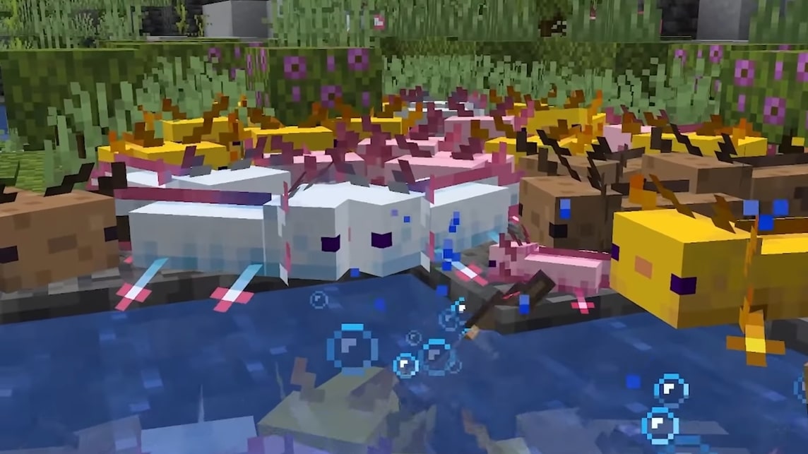 Axolotl Minecraft